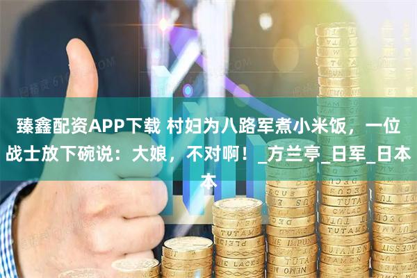 臻鑫配资APP下载 村妇为八路军煮小米饭，一位战士放下碗说：大娘，不对啊！_方兰亭_日军_日本