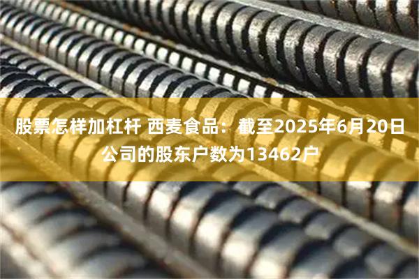 股票怎样加杠杆 西麦食品：截至2025年6月20日公司的股东户数为13462户