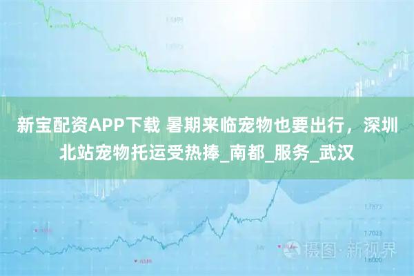 新宝配资APP下载 暑期来临宠物也要出行，深圳北站宠物托运受热捧_南都_服务_武汉