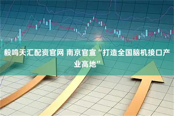 毅鸣天汇配资官网 南京官宣“打造全国脑机接口产业高地”